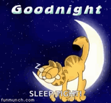 Goodnight Garfield GIF - Goodnight Garfield Moon GIFs