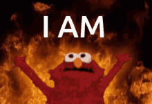 I Am Elmo Fire GIF - I Am Elmo Fire Flames GIFs