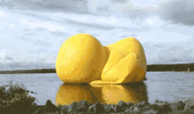 National Rubber Ducky Day GIF - National Rubber Ducky Day GIFs