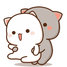 cute-cat.gif