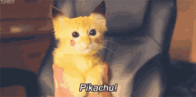 Pikachu Kitty GIF - Pikachu Kitty Cat GIFs