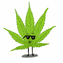 weed green