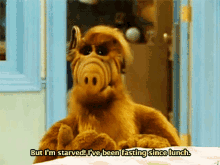 Alf But Im Starved GIF - Alf But Im Starved Ive Been Fasting Since Lunch GIFs