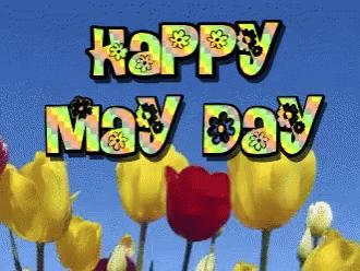 Happy May Day May Flowers GIF - Happy May Day May Flowers May1 - Discover & Share GIFs