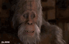 Bigfoot GIF - Bigfoot Sasquatch Tv GIFs