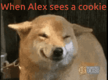 Alex Sees GIF - Alex Sees Cookie GIFs