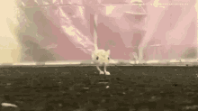 weeee