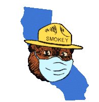 Only You Can Prevent The Recall Smoke The Bear Sticker - Only You Can Prevent The Recall Smoke The Bear Keep Ca Blue Stickers