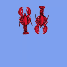 Lobster Red GIF - Lobster Red GIFs