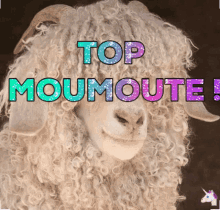 Top Moumoute GIF - Top Moumoute Top Moumoute GIFs