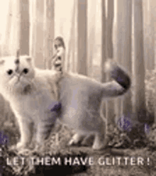 Taylor Swift Glitter GIF - Taylor Swift Glitter Cat GIFs