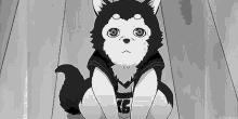 fofo dog