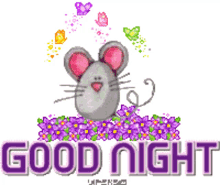good night good night