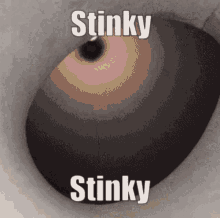 stinky cat