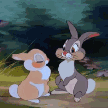 Bambi Movie Thumper GIF - Bambi Movie Thumper Rabbits GIFs