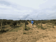 away slowly
