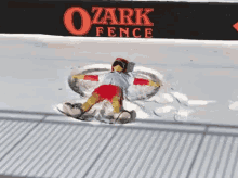 springfield cardinals louie louie cardinals louie mascot mi lb