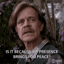 shameless is it because my presence brings you peace peaceful sassy sarcastic