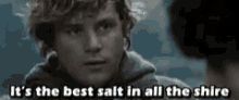 Lotr The Best Salt Is GIF - Lotr The Best Salt Is In All The Shire GIFs