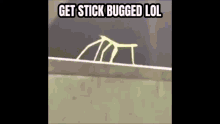 Stick Bugged Get Stick Bugged Lol GIF - Stick Bugged Stick Bugged GIFs