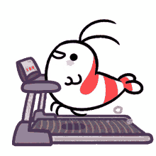 treadmill running exercise working out shy shrimp treadmill running exercise working out shy shrimp