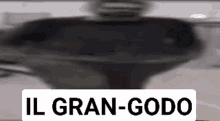 Il Gran Godo Godopoli GIF - Il Gran Godo Godo Godopoli GIFs