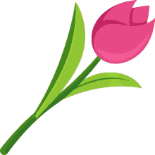 rose spring fling joypixels red rose flower rose spring fling joypixels red rose flower