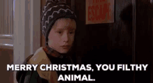 Home Alone Christmas Movies GIF - Home Alone Christmas Movies Merry Christmas Ya Filthy Animal GIFs