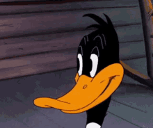 Looney Tunes Daffy Duck GIF - Looney Tunes Daffy Duck Moving Eyebrows GIFs