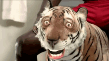 terrified tiger shocked scared horrified