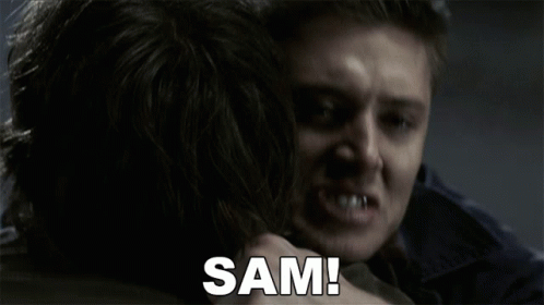 Sam Sam Winchester GIF - Sam Sam Winchester Dean Winchester GIFs