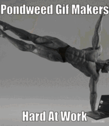 pondweed gif master work pondweed gif master work