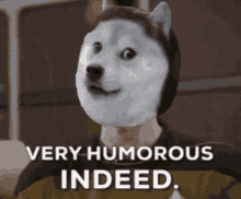 doge doge army dogearmy mem ediv doge doge army dogearmy mem ediv
