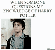 Harry Potter Funny GIF - Harry Potter Funny Knowledge GIFs