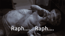 Raph GIF - Raph GIFs