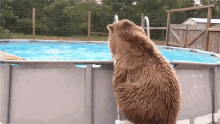 Going For A Swim Cooling Down GIF - Going For A Swim Cooling Down Heat Wave GIFs