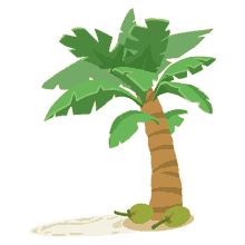 bakenswitch palm tree tree coconut tree island tree