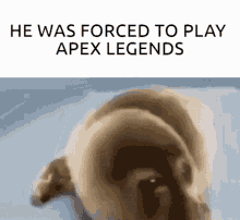 He Was Forced To Play Apex Legends GIF - He Was Forced To Play Apex Legends GIFs