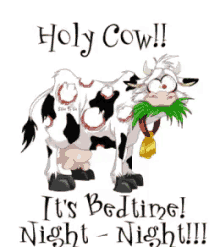 Holycow Bedtime GIF - Holycow Bedtime Night Night GIFs
