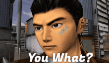 Shenmue Shenmue You What GIF - Shenmue Shenmue You What You What GIFs