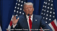 Heres What Would Happen GIF - President Donald Trump President Trump GIFs