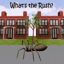 Whats The Rush Why Hurry GIF - Whats The Rush Why Hurry Why Wait GIFs