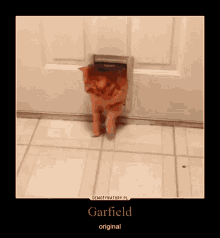Garfield Original GIF - Garfield Original Demotywatory GIFs