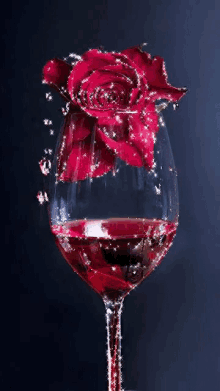 https://c.tenor.com/Ulr5zCCe6RwAAAAM/red-rose-wine.gif