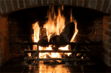 Cozy Fireplace GIF - Cozy Fire GIFs