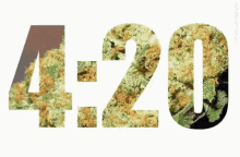 Four20 Itstime GIF - Four20 Itstime GIFs