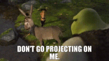 Shrek Donkey GIF - Shrek Donkey Dont Go Projecting On Me GIFs