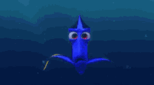 dory are you there dory are you there