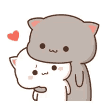 cute cat couple hug love