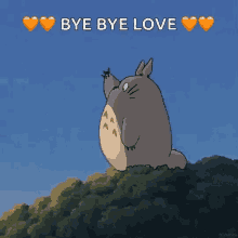 Totoro Anime GIF - Totoro Anime Animation GIFs